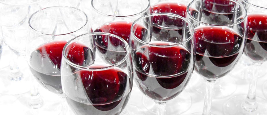 第243回紫紺クラブ例会